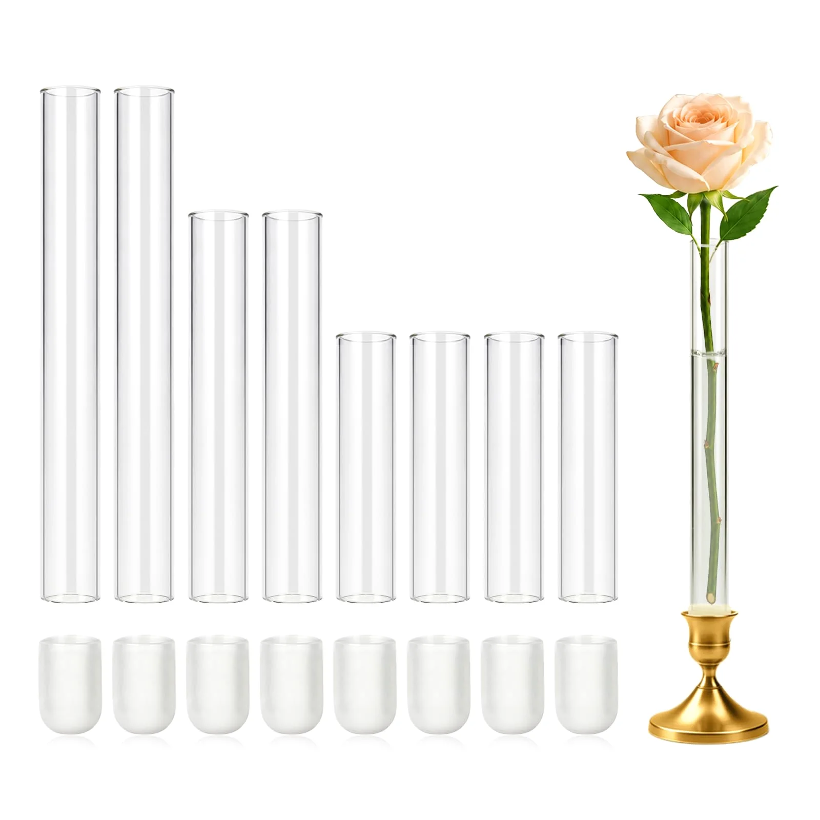 CGBE Glass Bud Vases in Three Heights, 8 Pack